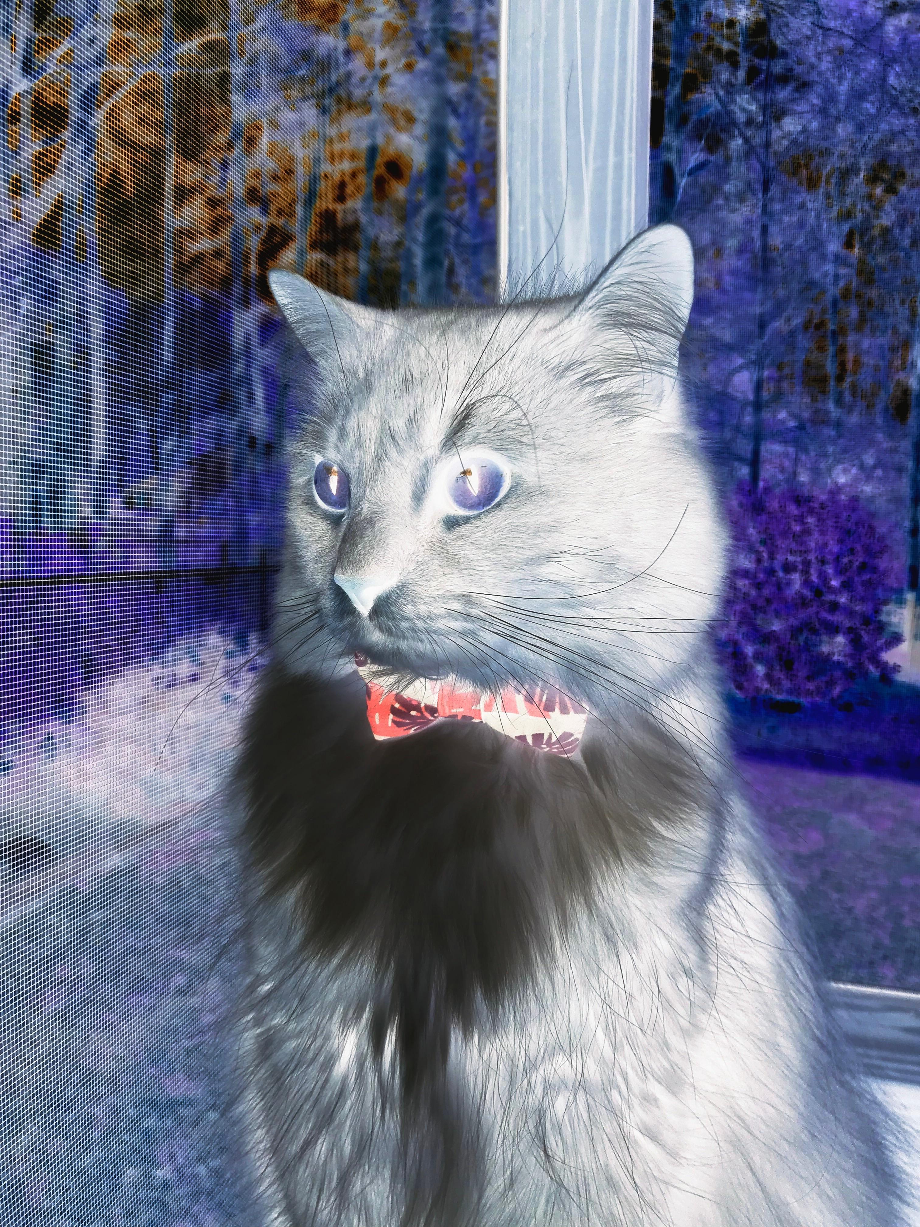 FB SPORTS-青少年电竞培训体系优化，打造行业“后备军”，中学生电竞培训