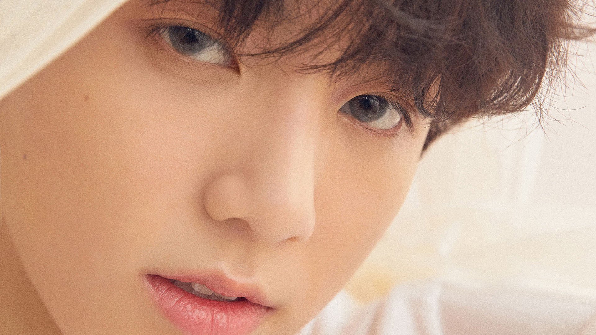 北京首钢 新赛季目标总冠军,北京首钢上赛季战绩