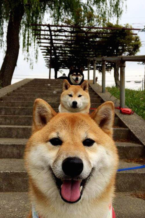 fb体育官网入口-国足在国际比赛中的战术演变，国足在国际比赛中的战术演变过程