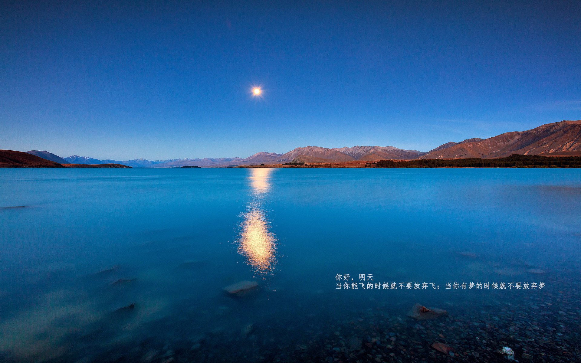 弗拉门戈前锋佩德罗成为欧洲多家俱乐部关注对象，佩德罗 球员