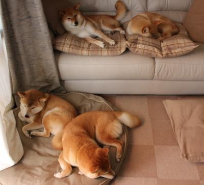 fb体育赛事平台-西班牙1-0淘汰英格兰，挺进四强，西班牙对英格兰数据