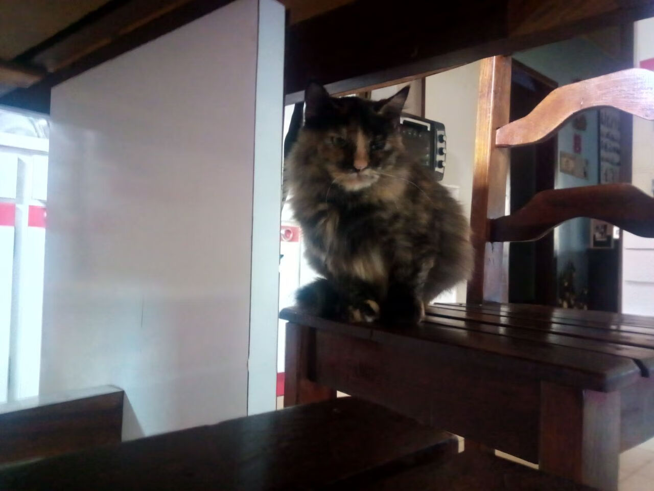 fb体育官网首页-锦标赛上，一支球队夺魁，成为最耀眼的明星，球员锦标赛是排名赛吗