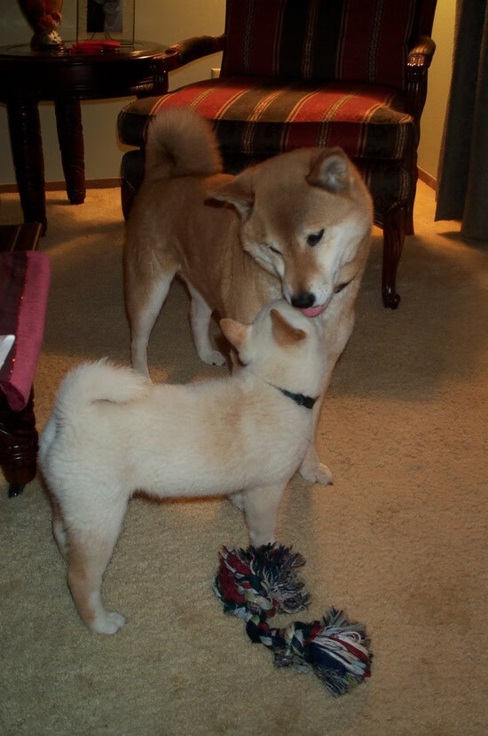 FB真人电子游戏-青训球员是否更适应压迫式节奏环境，青训规则