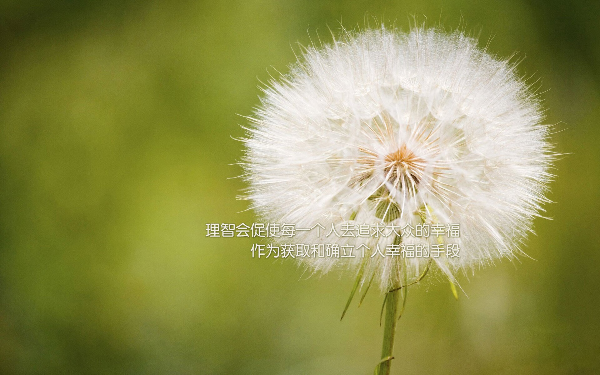 fb体育投注-青训输出排名是否影响俱乐部声誉增长，青训出来的选手